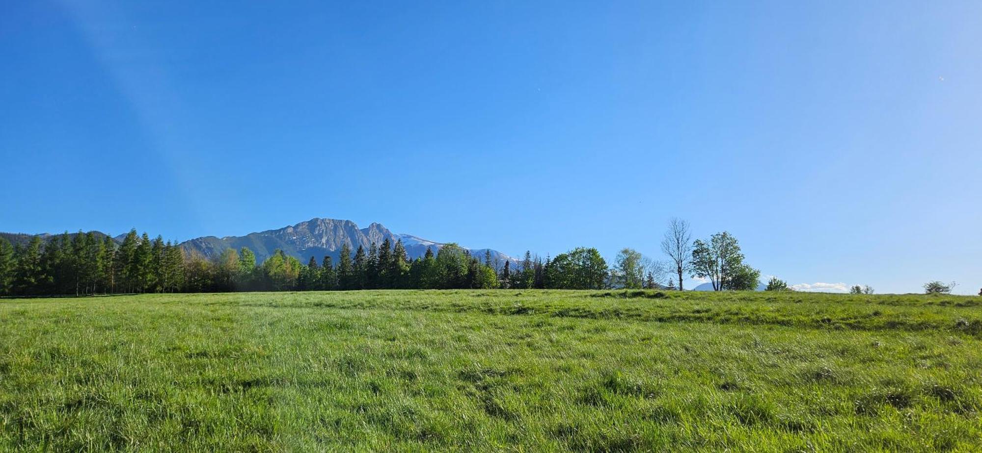 Marol Wynajem Pokoi Apartamento Zakopane Exterior foto