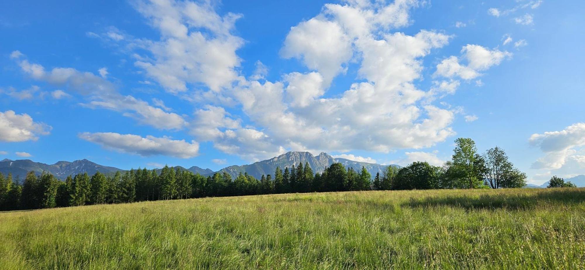 Marol Wynajem Pokoi Apartamento Zakopane Exterior foto